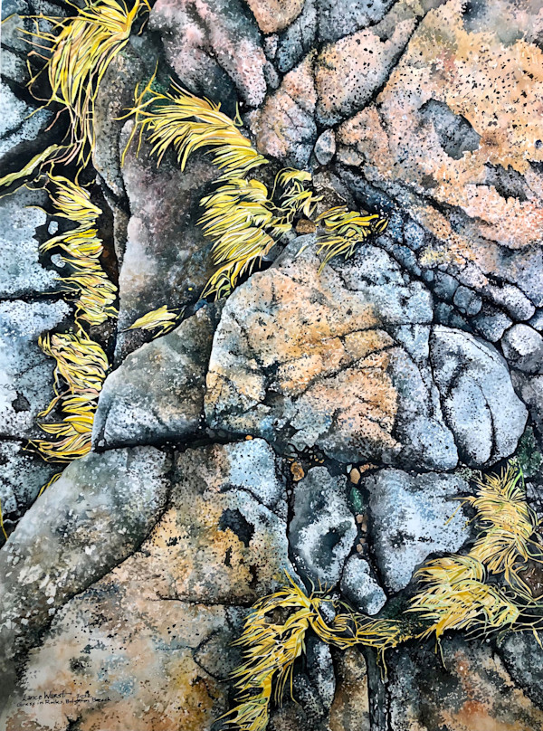 Grass in Rocks by Lance Wurst, Image 1.