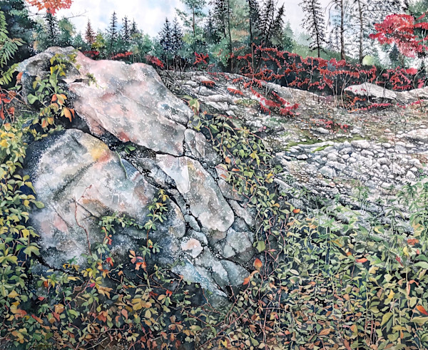 Northwoods by Lance Wurst, Image 1.