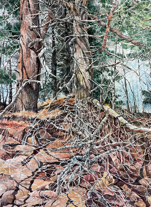 Big Bay Tree Roots by Lance Wurst, Image 1.