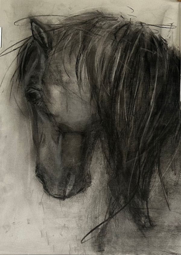 Charcoal Horse by Jill Weikart, Image 2.