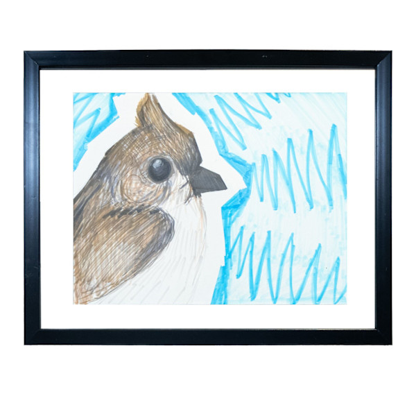 Tufted titmouse/ Mésange huppée by EMG