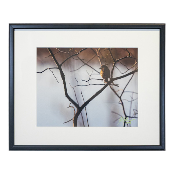 Au soleil du matin by Joël Ducharme