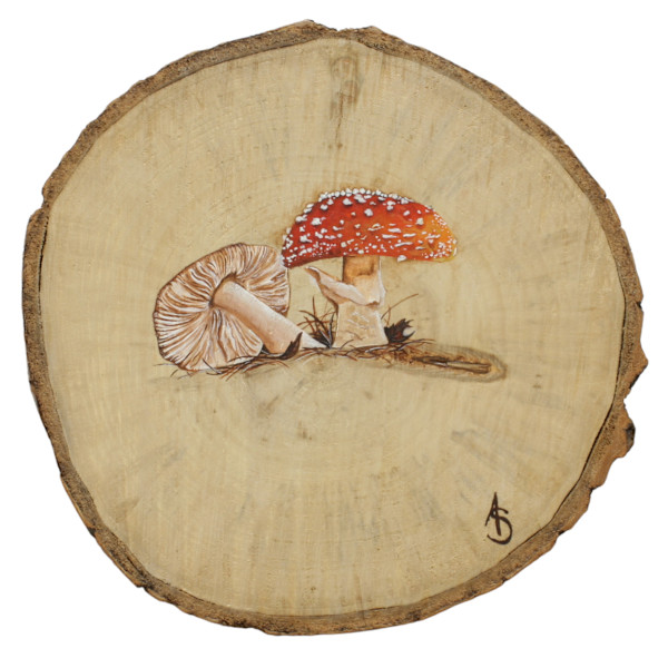 Growth by Alyssa Stapley