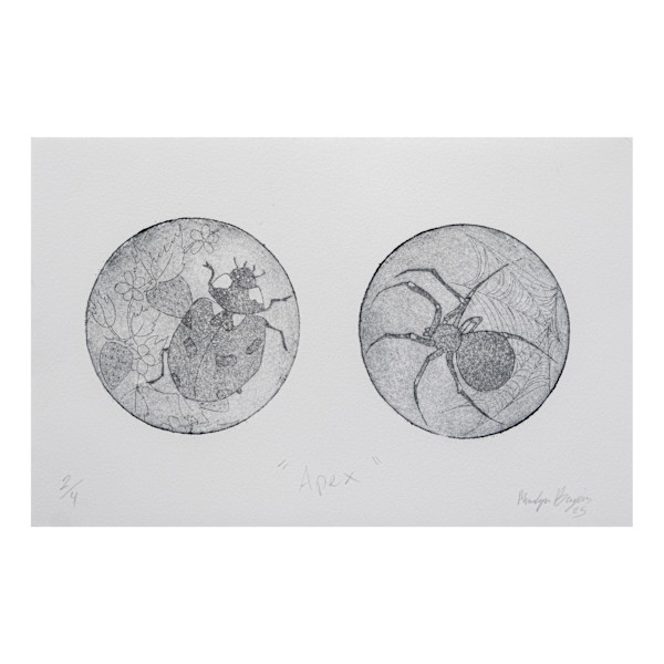 Apex by Madalyn Bujas