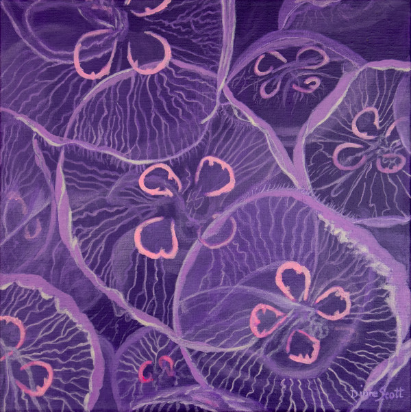 Jellies by Diane Scott
