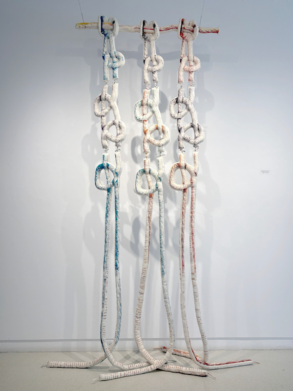 Beginning to Macrame, 2010 by Lizz Aston