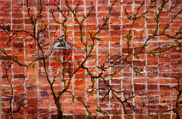 Pink Floyd Graffiti Wall by Marc Buchanan