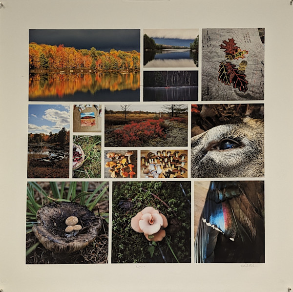 Autumn by Nathalie Bertin