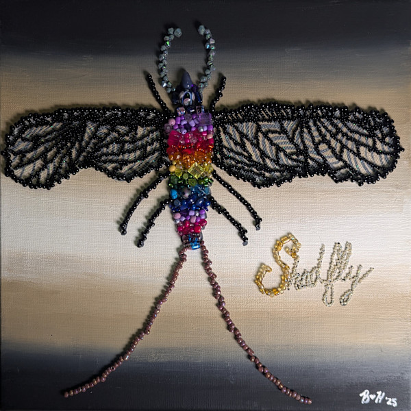 Shadfly by Bobbie Hayes
