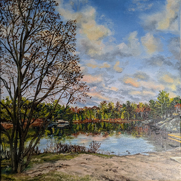The Cove by Ilana vana zyl