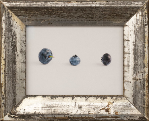 Blueberries by Jefferson Hayman