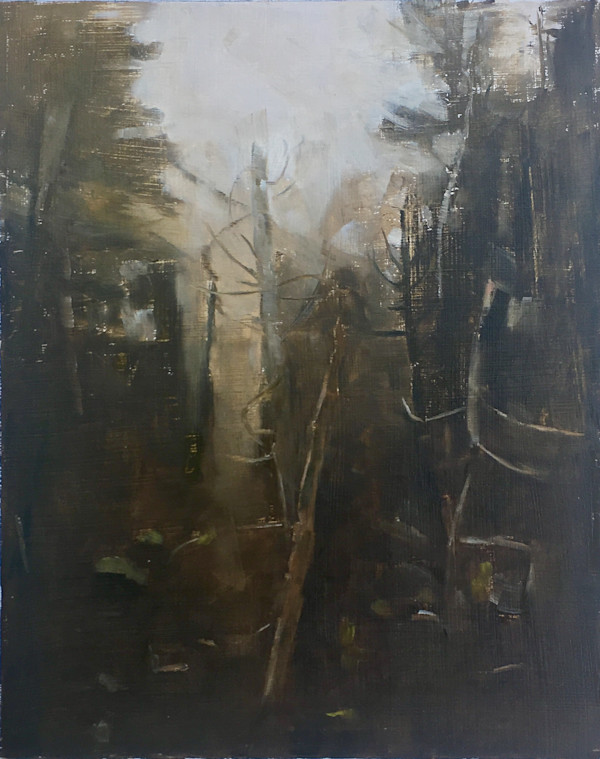 Hackmatack Woods by Jay Wu