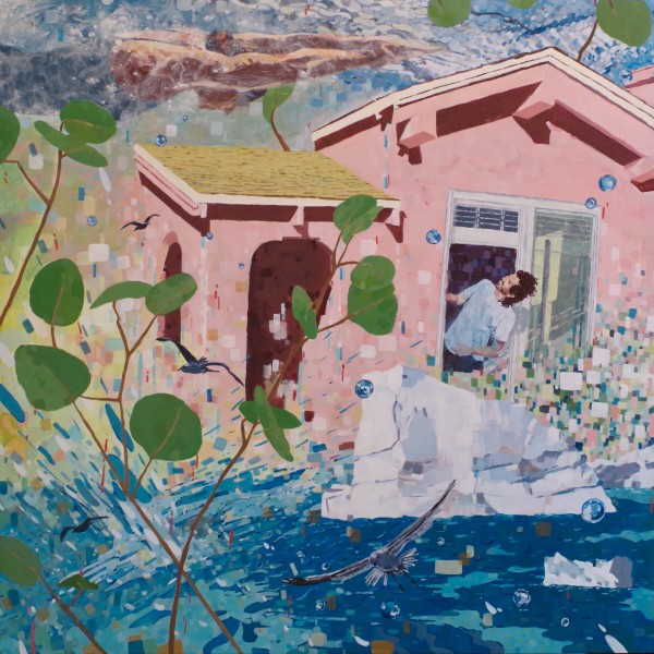 Swimming Through Skies by Lotte Petricone