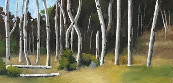 Maine Woods by Jay Sidebotham