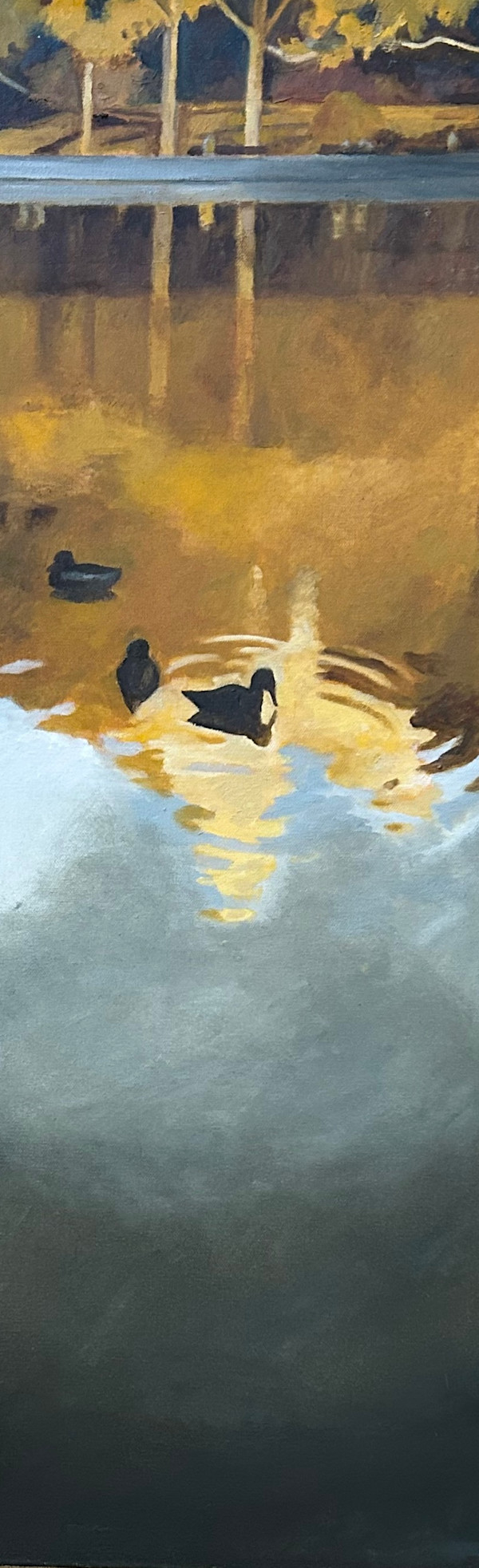 Central Park Pond by Jay Sidebotham