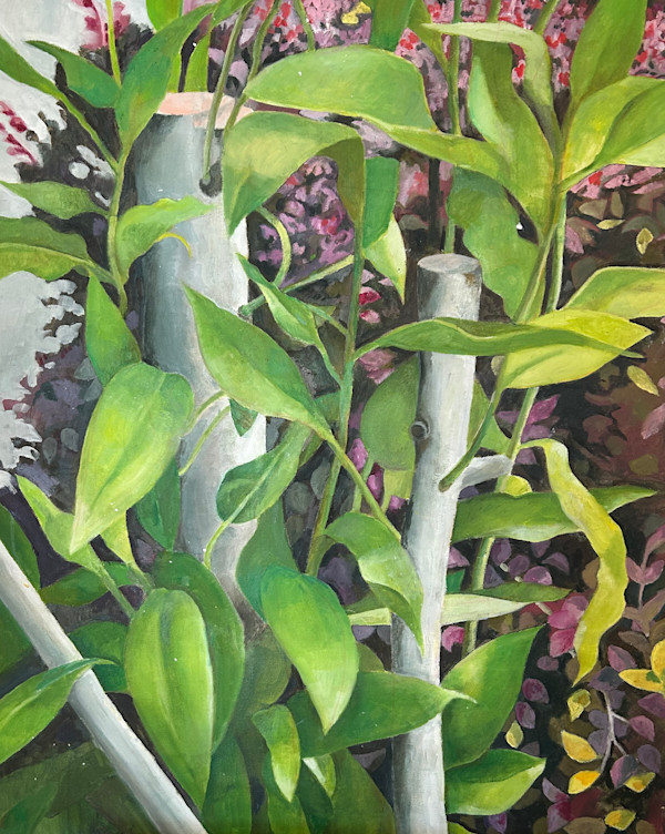 New Growth by Jay Sidebotham