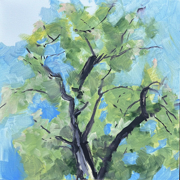 Sugar Maple Portrait by Anne Harmon