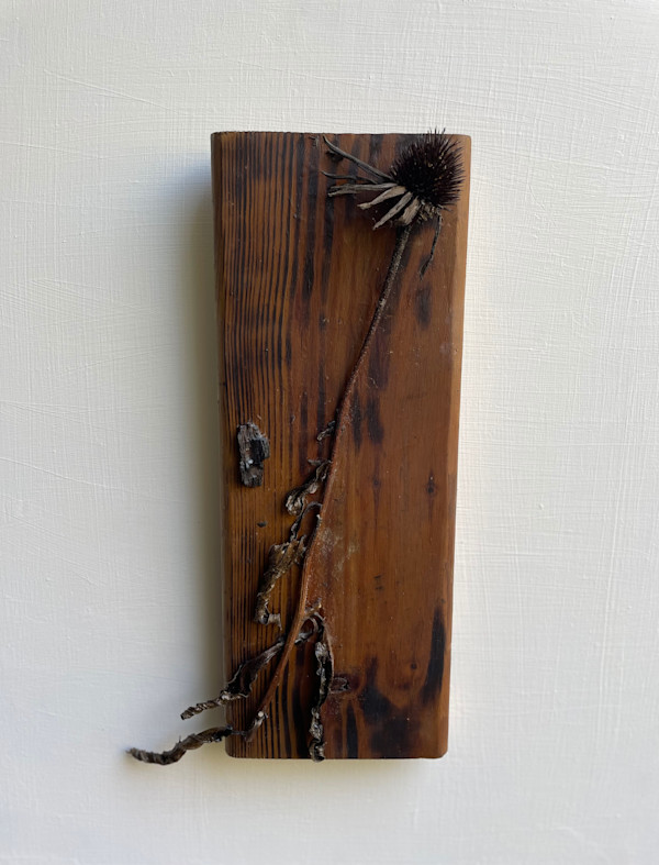 I'm Still Here by Rachel Joyce, Image 1.