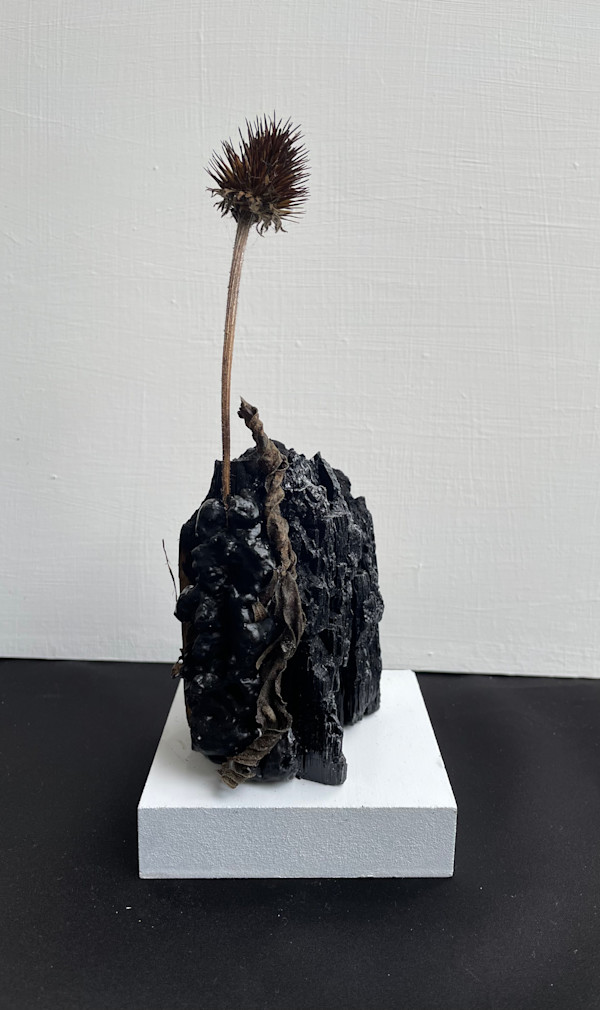 When The Fire Fades, I Will Remain by Rachel Joyce, Image 2.