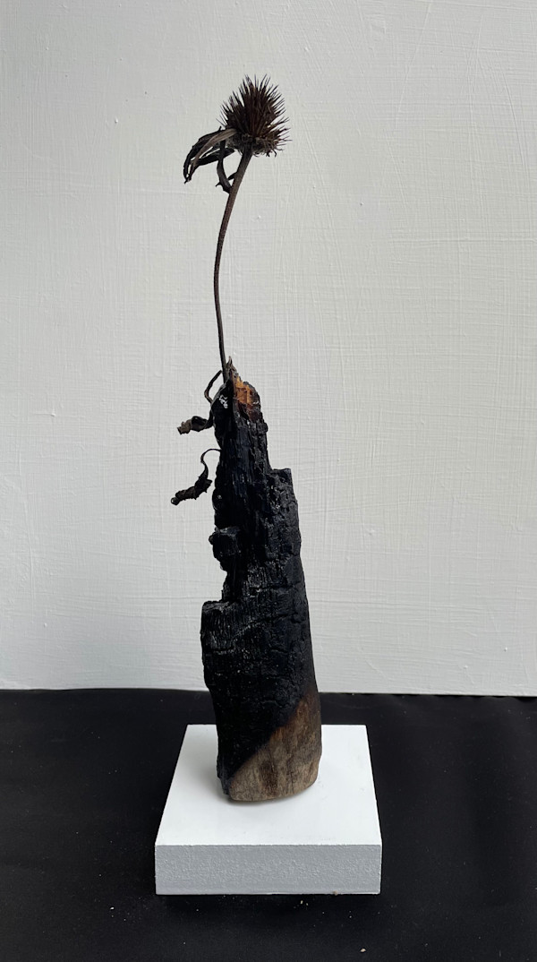 Fire Can Not Destroy What Is Rooted by Rachel Joyce, Image 4.