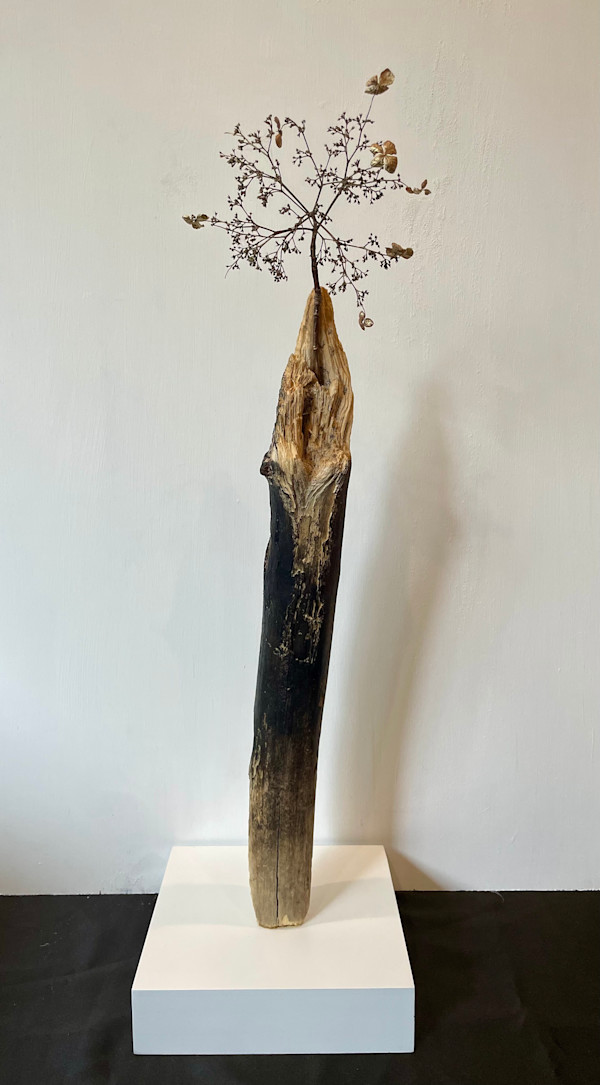 Eywa by Rachel Joyce, Image 4.