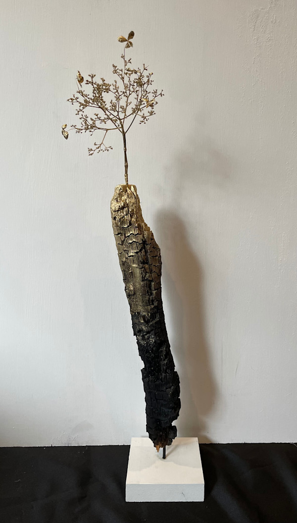 Confirmations Of Fortitude by Rachel Joyce, Image 3.