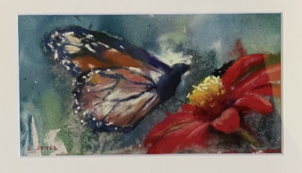 Mariposa by Rachel Joyce