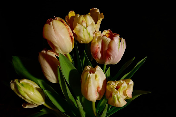 Spring Night by Louise O