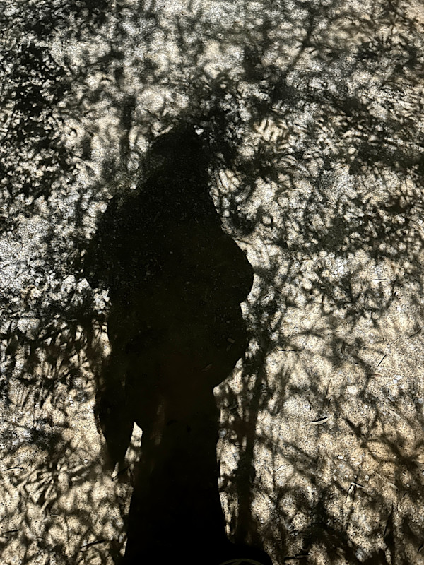Shadowed by Louise O