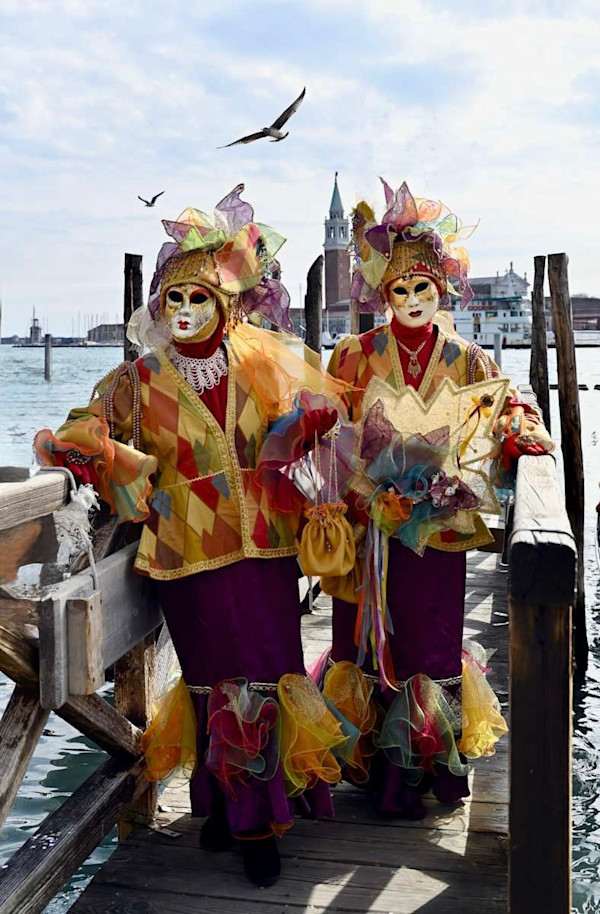 Harlequin by Louise O