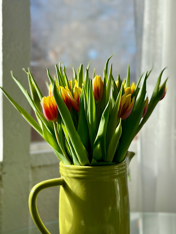 Morning Opening by Louise O, Image 1.