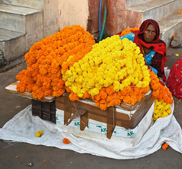 Flower Bundler by Louise O