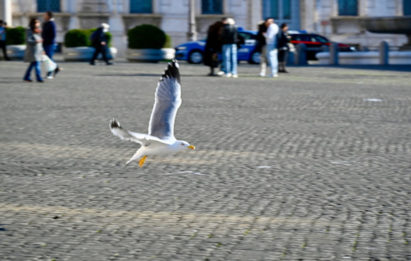 Below the Radar by Louise O