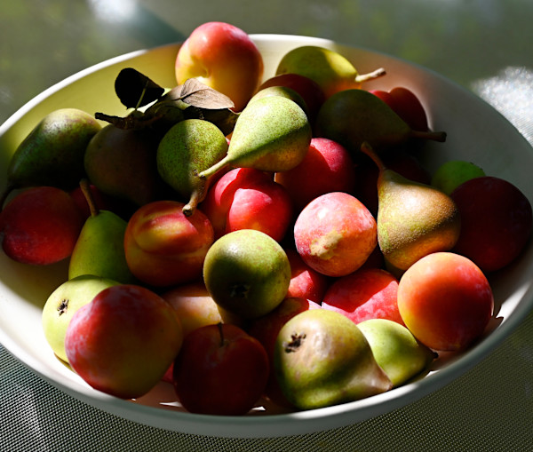 Abundance by Louise O, Image 1.