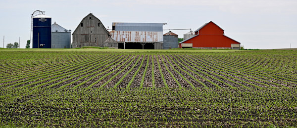 Spring Greens by Louise O, Image 1.