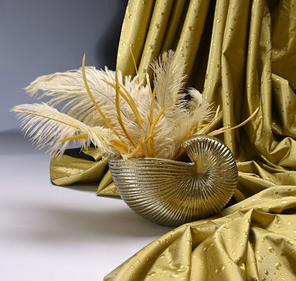Nautilus by Louise O
