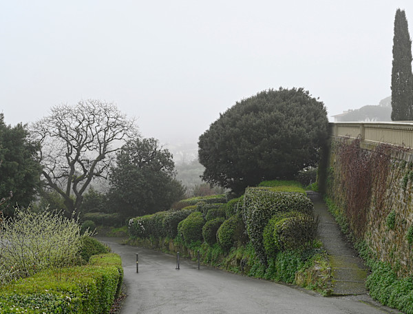 Pathways by Louise O, Image 1.