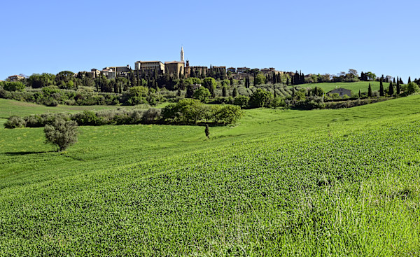 Pienza Fields by Louise O