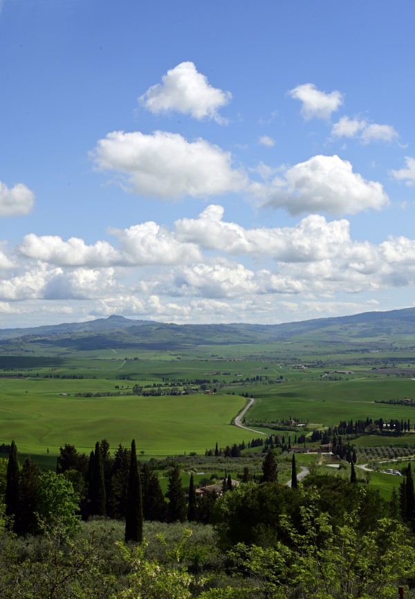 Pienza Via by Louise O