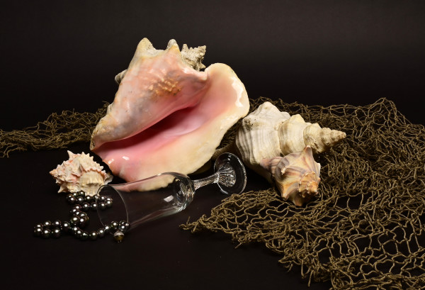 Sea Influence by Louise Olko