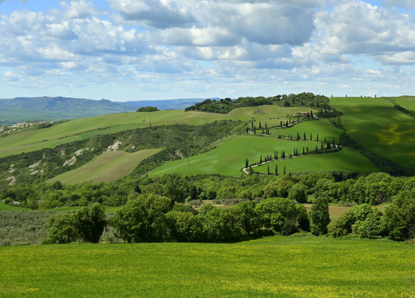 Winding Road by Louise O