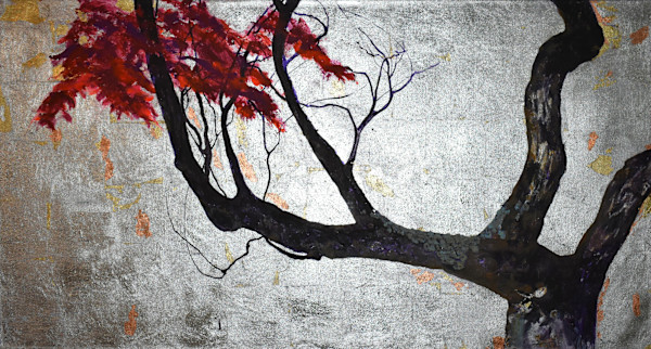 acer palmatum by gaby roter