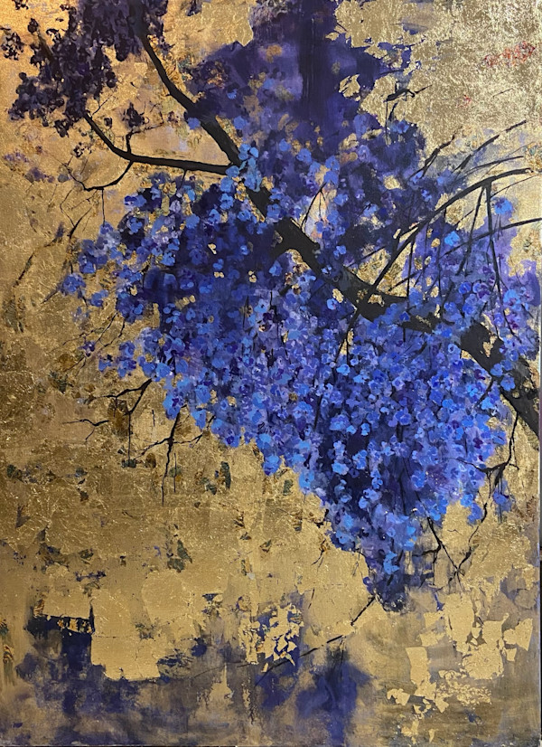 jacaranda by gaby roter