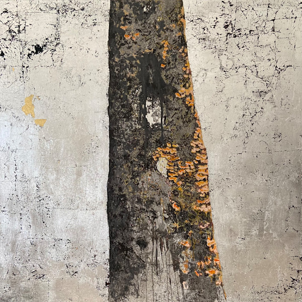 old oak by gaby roter