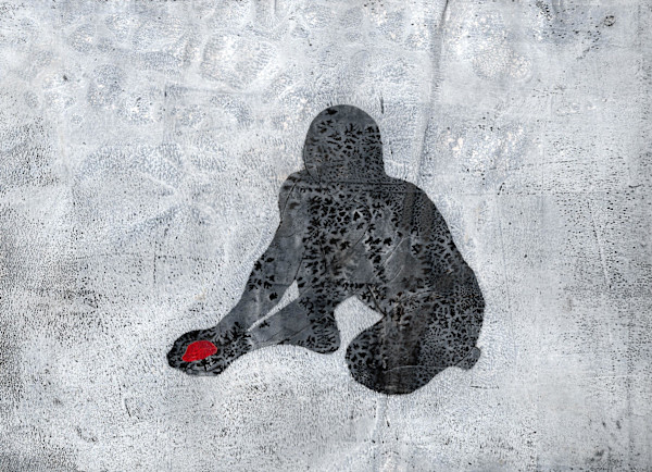 Held in Place by Carla Taylor, Image 1.
