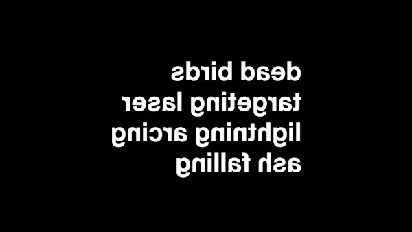 Type Opposite Images 13/32 by Rhea Myers