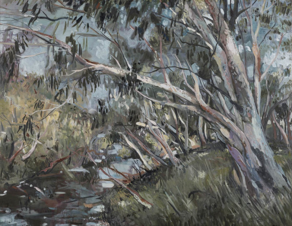 River Gums by Frances FUSSELL