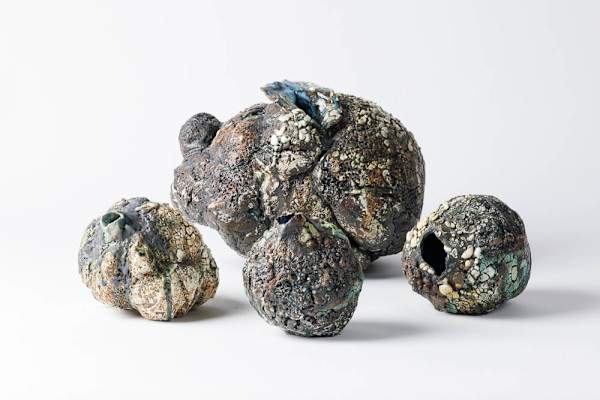 Symbiosis by Janice HANICAR, Image 1.