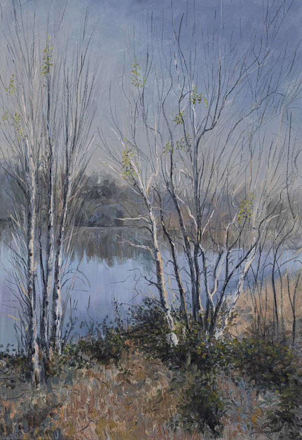 Nepean Birches by Bert MORIARTY