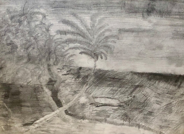 Honolulu Dream by Skyler Solondz